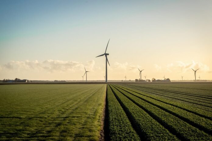 Autore Peter Beurkema – sito Cattedra UNESCO Comunità Energetiche Sostenibili