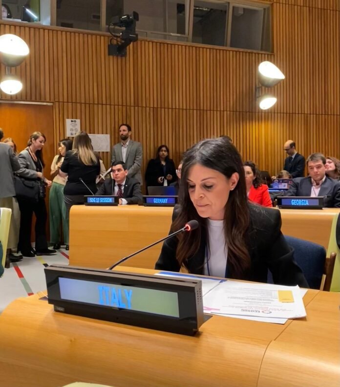 Pisani ECOSOC