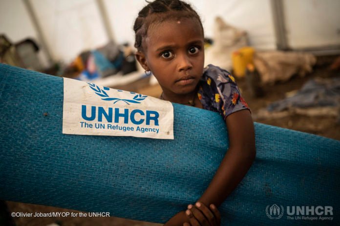 UNHCR is 70 years old today: Grandi, 