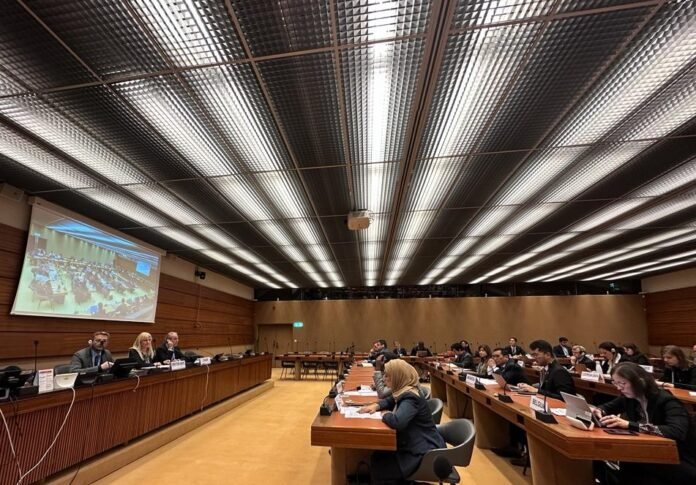 Disaster Risk Reduction: Italy chaired meeting of the Support Group